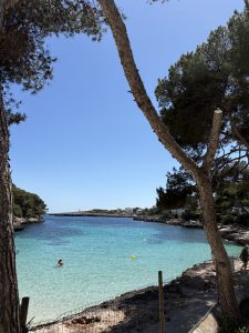 IMG_5708